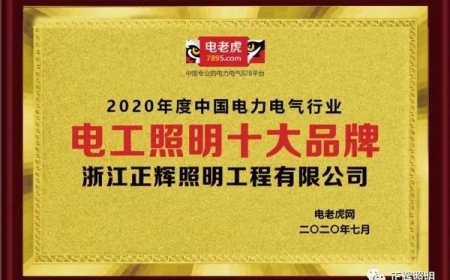 Brand honor! Congratulations to Zhejiang Zhenghui Lighting for being awarded the “Top Ten Brands of Electrical Lighting” in 2020